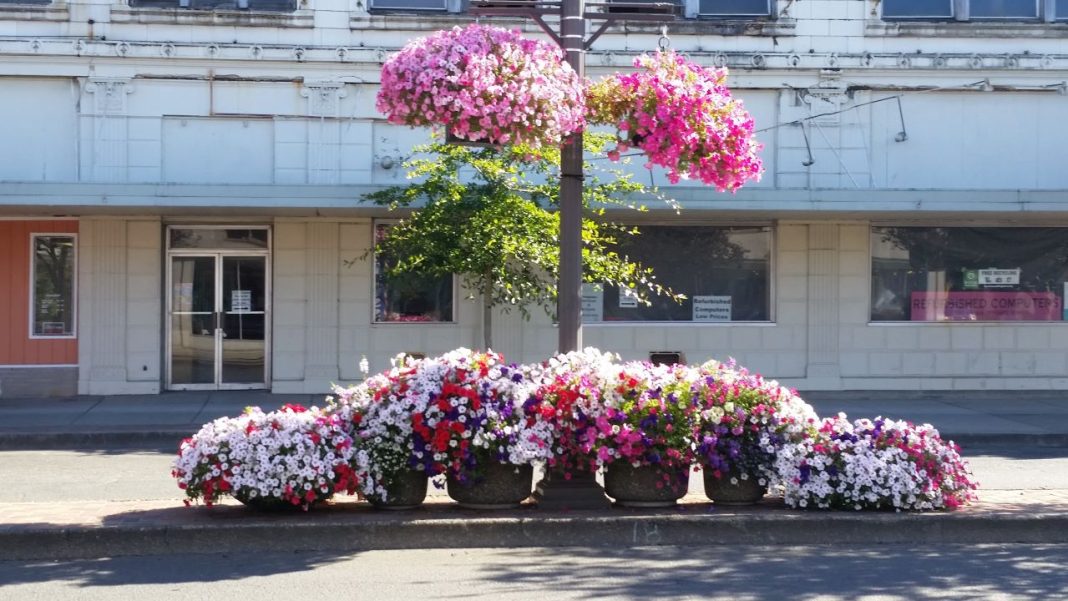 baskets of petunias hanging from a pole and in containers on the ground