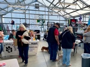 North Beach PAWS Low-Cost Dog and Cat Vaccination Clinic @ La Vogue Cyclery